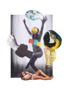 Collage de la série « Duckface », Karin Crona