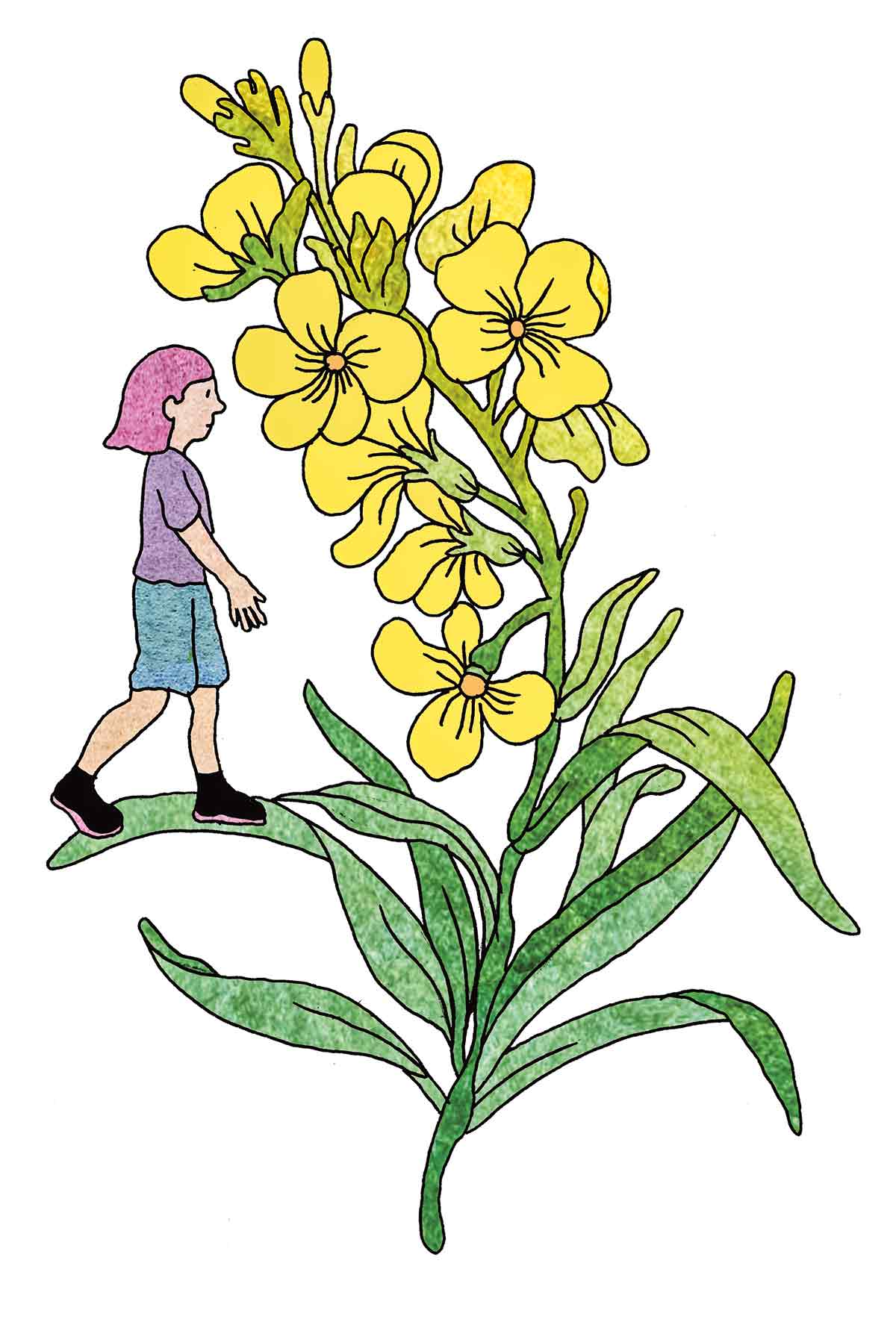 Illustration de Jeanne Macaigne pour le récit « Les enfants du silence » signé Juliette Rousseau - La Déferlante 12