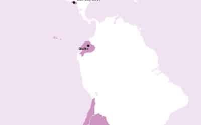 Amérique latine : les féministes face à la montée de l’extrême droite