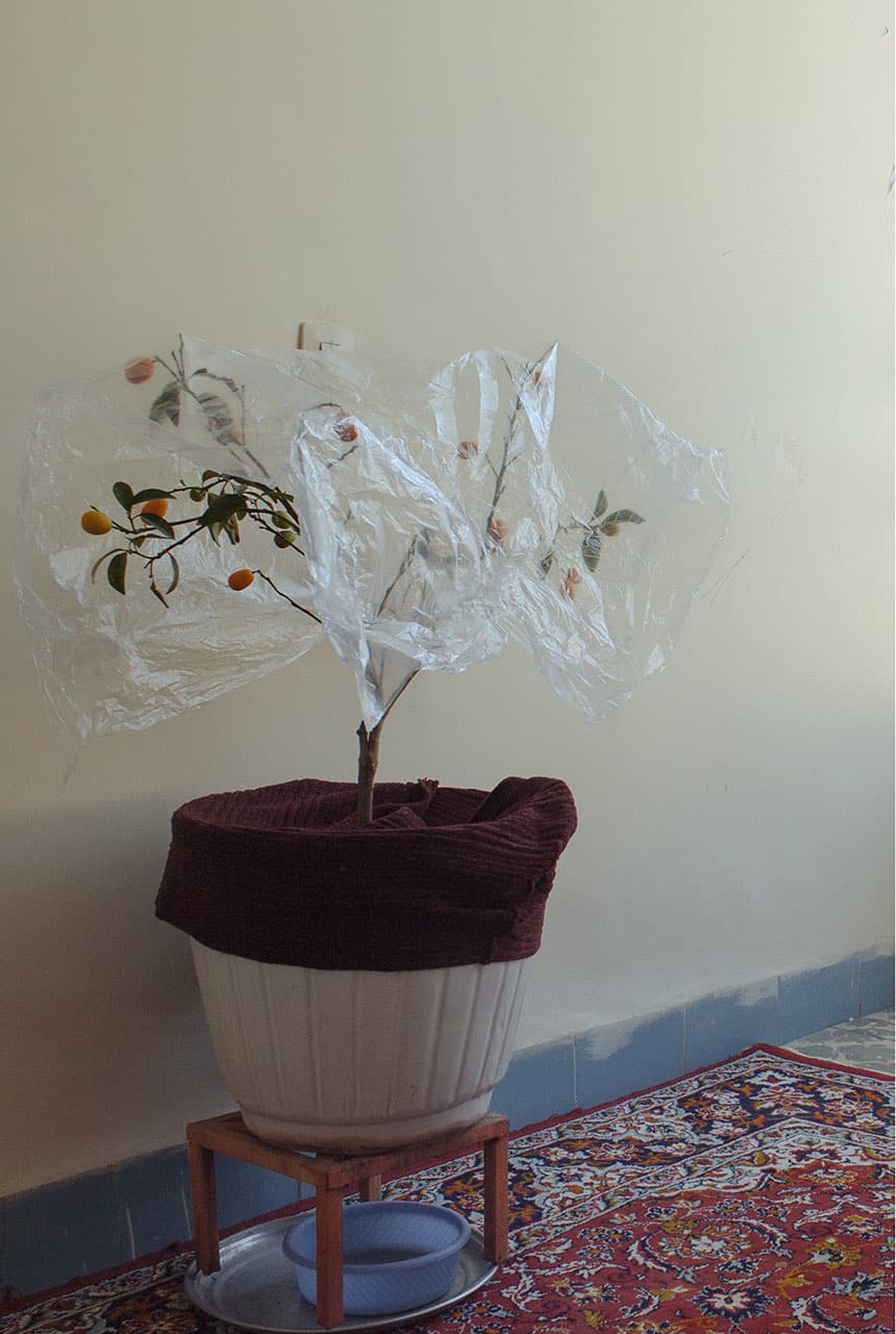 Crédit photo : Solmaz Daryani