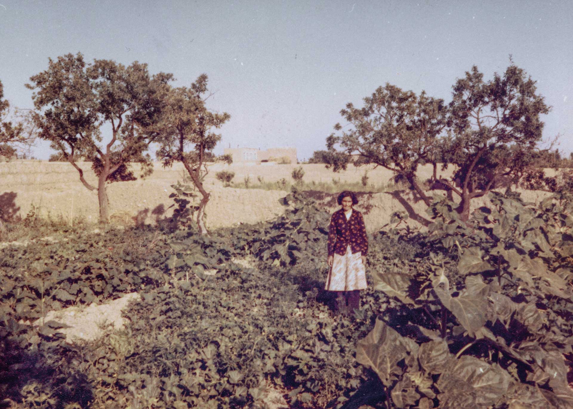 Crédit photo : Solmaz Daryani