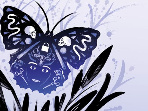 ILLUSTRATIONS Julia Wauters