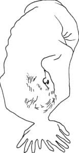 Dessin modèle vivant·es