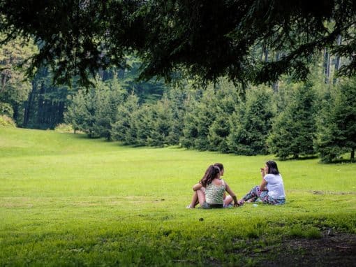 La santé mentale des jeunes filles est, de tout temps, très impactée par les violences sexistes et sexuelles. Crédit photo : Creative Commons.