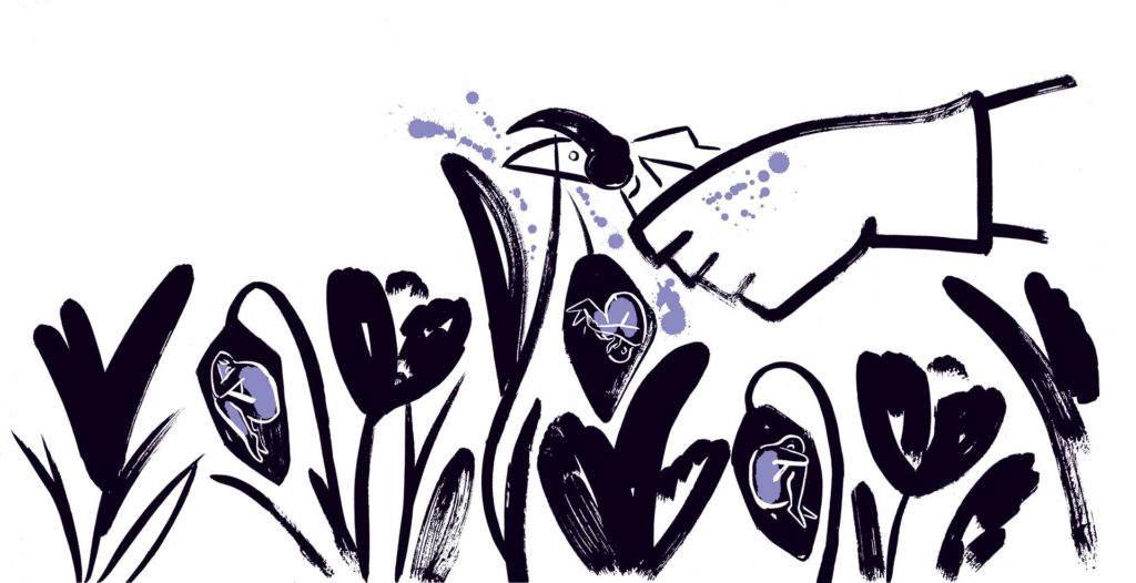 Illustrations : Julia Wauters