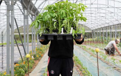 A la ferme Baudonne, des détenues à l’air&nbsp;libre