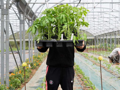 Crédit : Constance Decorde / Youpress