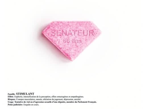 Camille Gharbi - À son insu